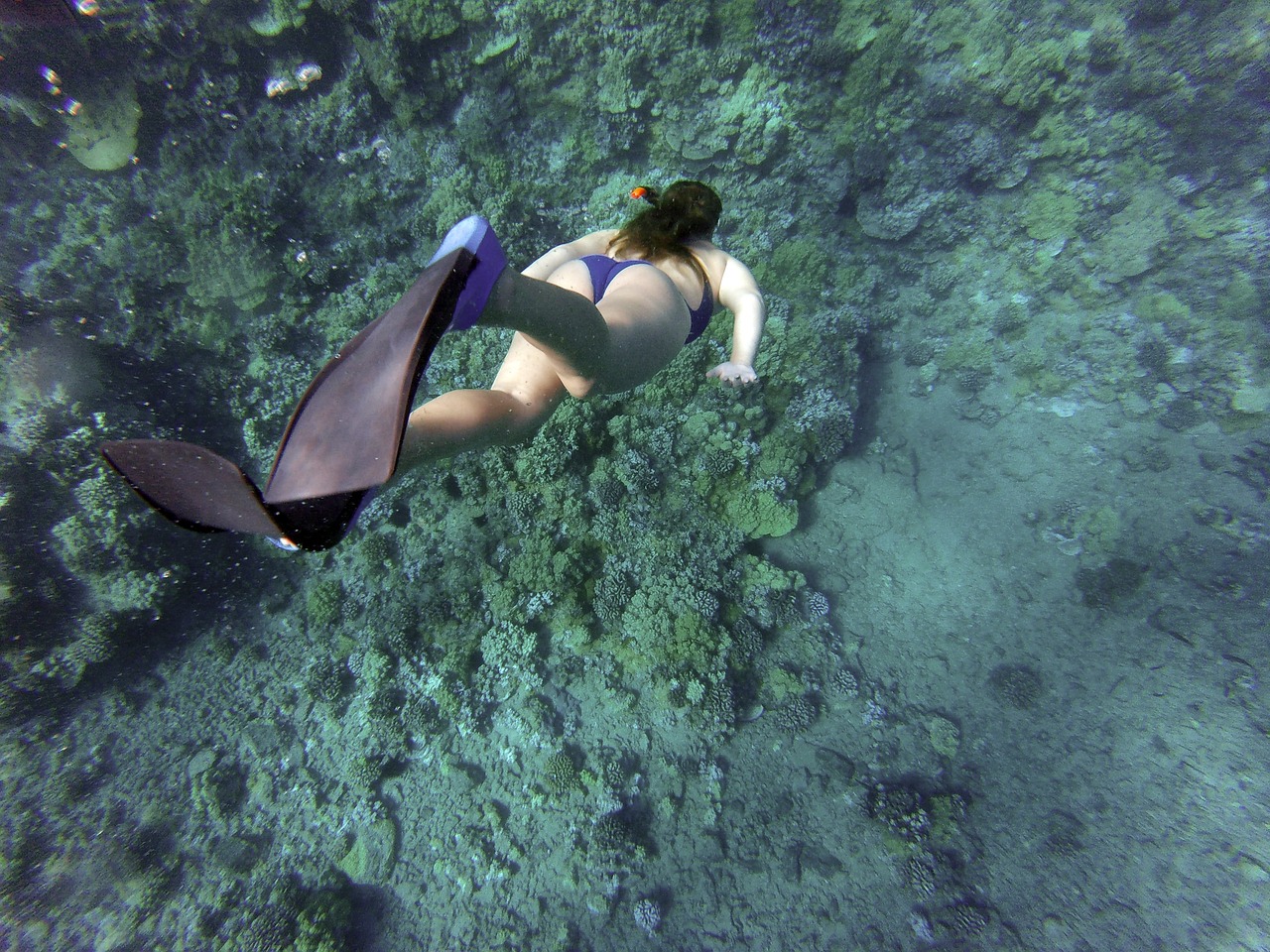 snorkeling snorkelling woman free photo