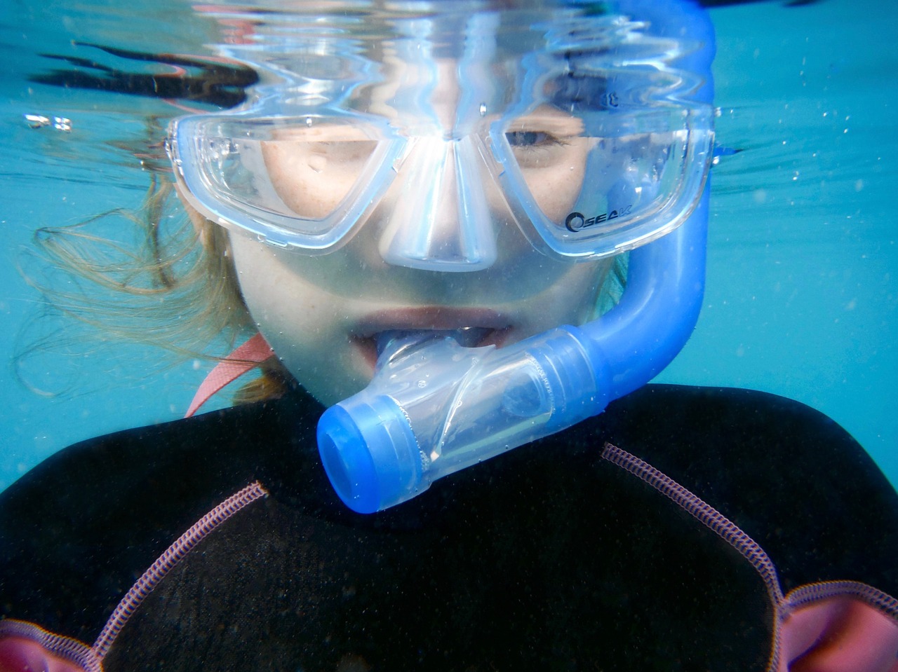 snorkelling swimming summer free photo