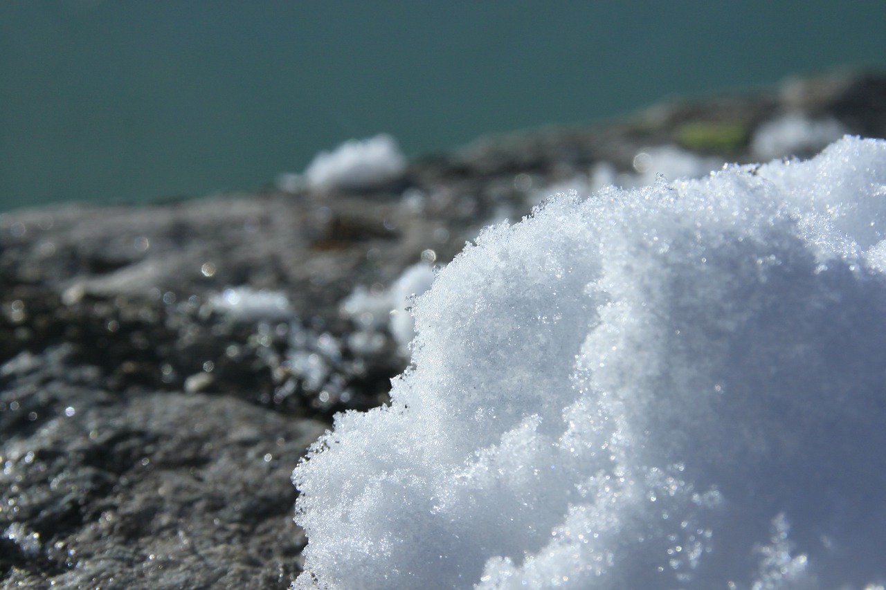 snow macro winter free photo