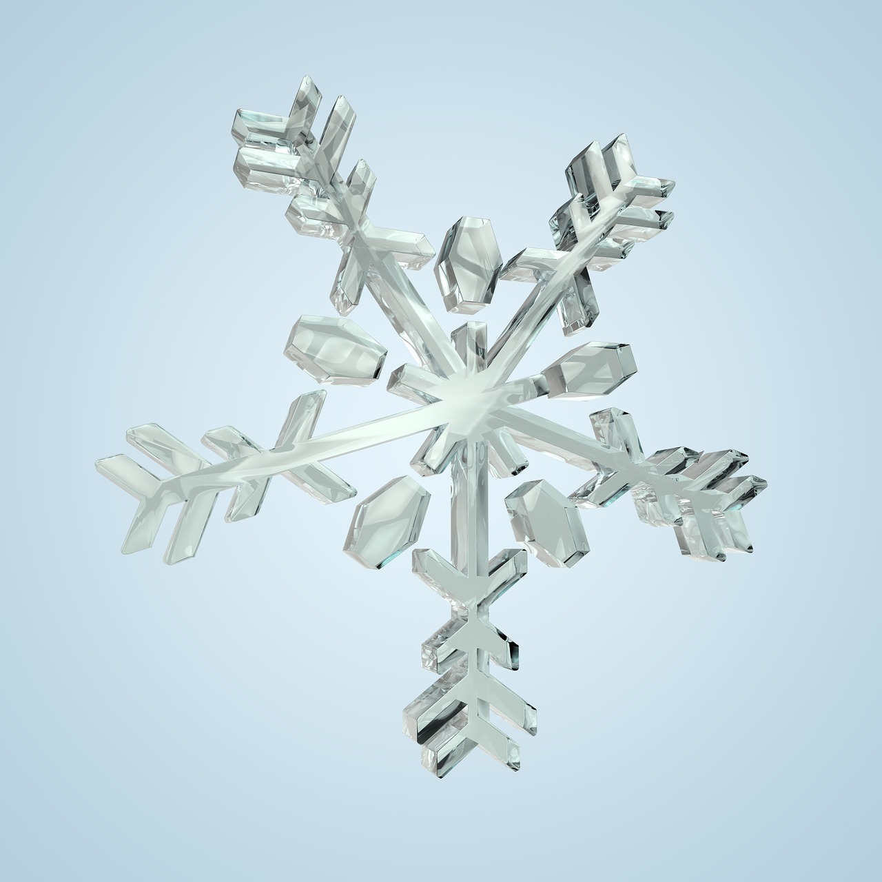 snow snowflake flake free photo