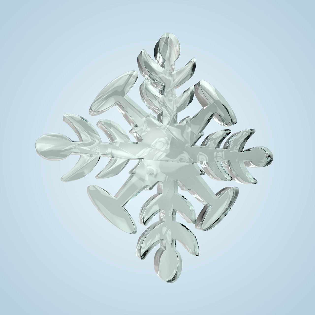 snow snowflake flake free photo