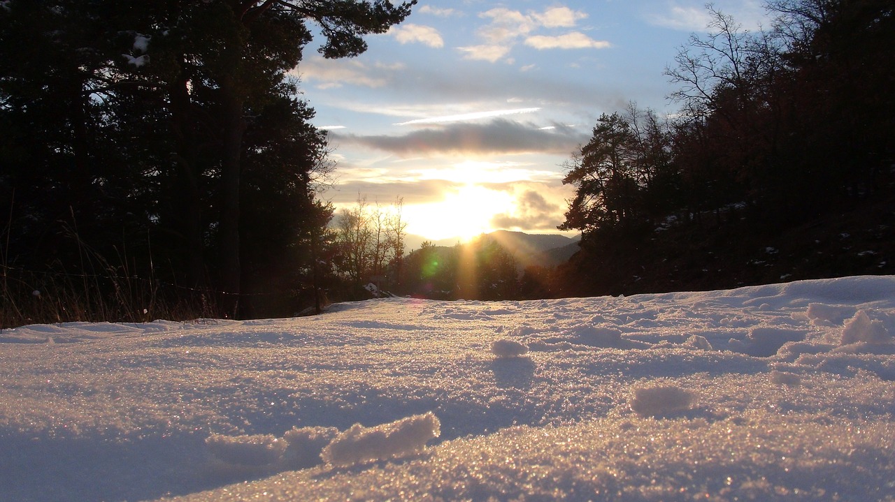 snow winter snowy landscape free photo