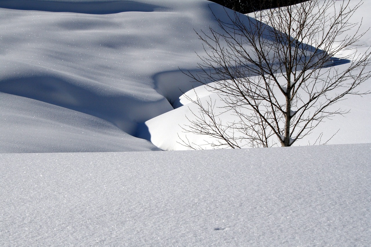 snow snow landscape sparkle free photo