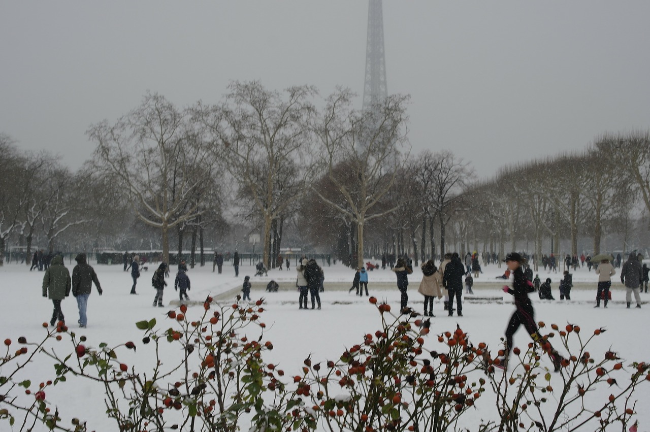 snow paris champs de mars free photo