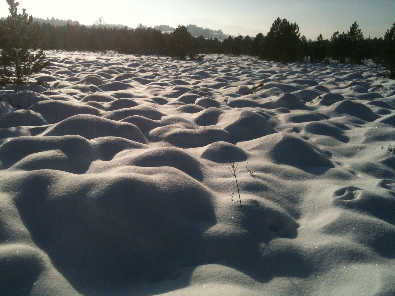 snow cross country skiing snow groove free photo