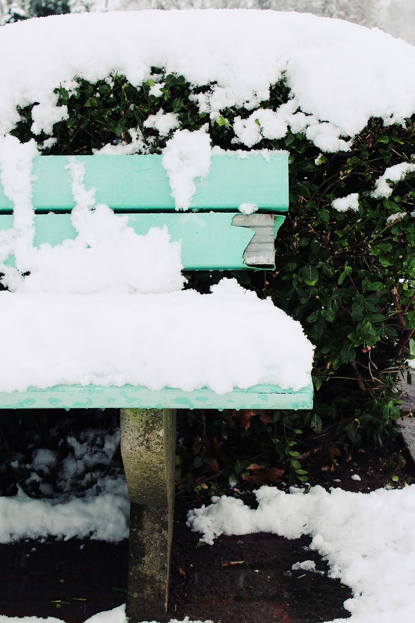 snow bank winter free photo