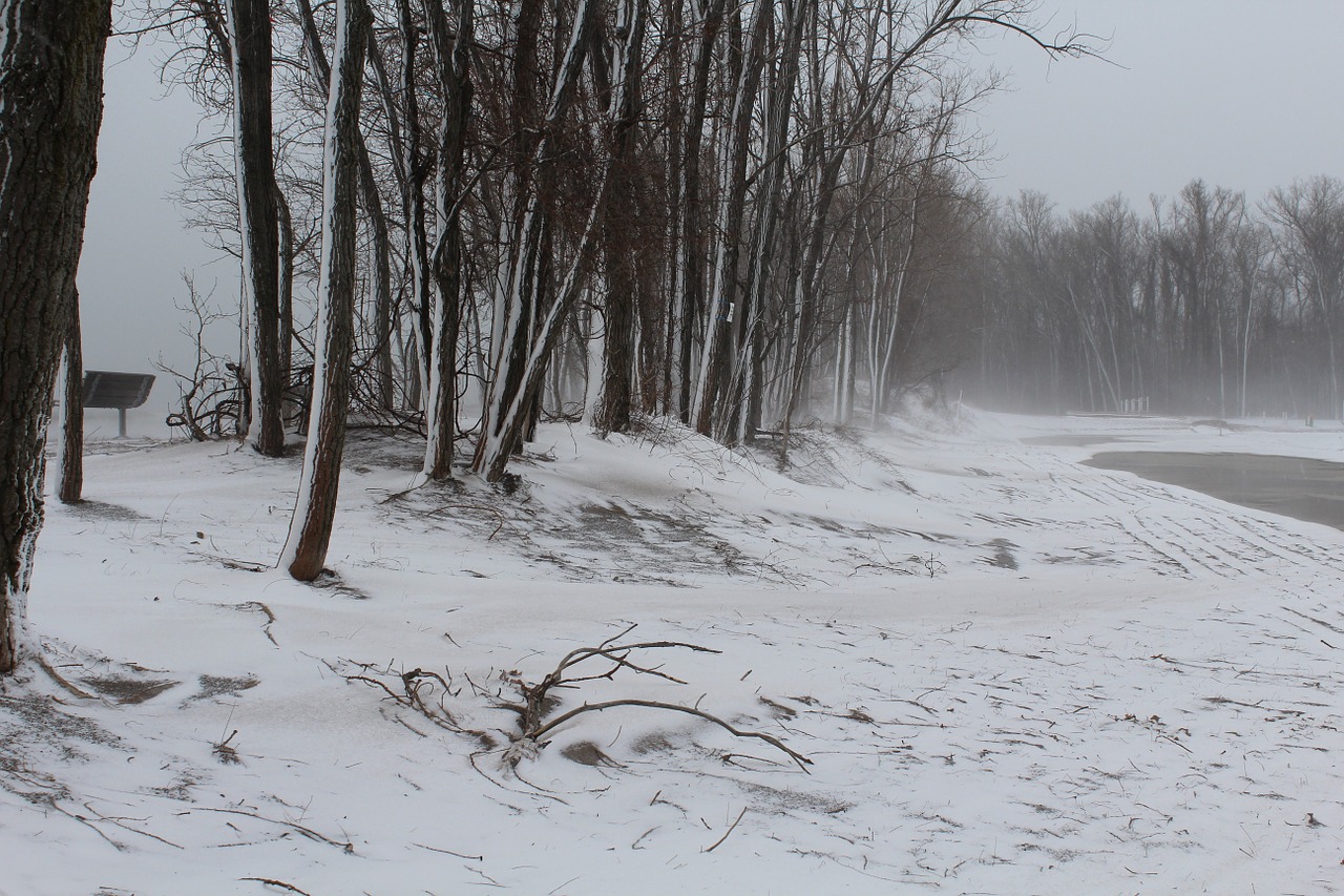 snow sand beach free photo