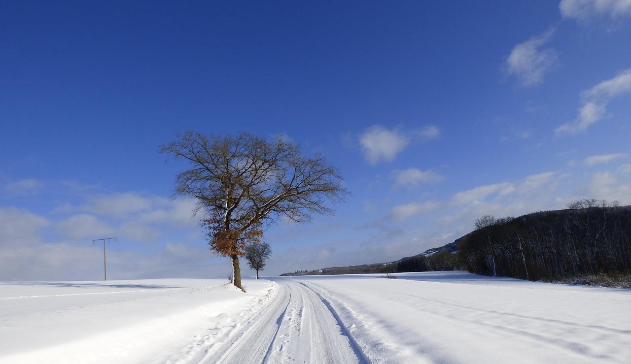 snow landscape winter free photo