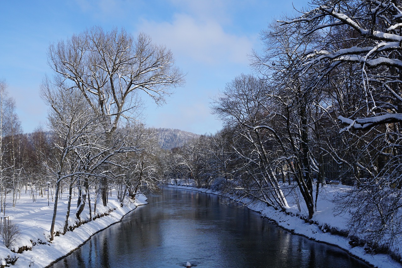 snow winter danube free photo