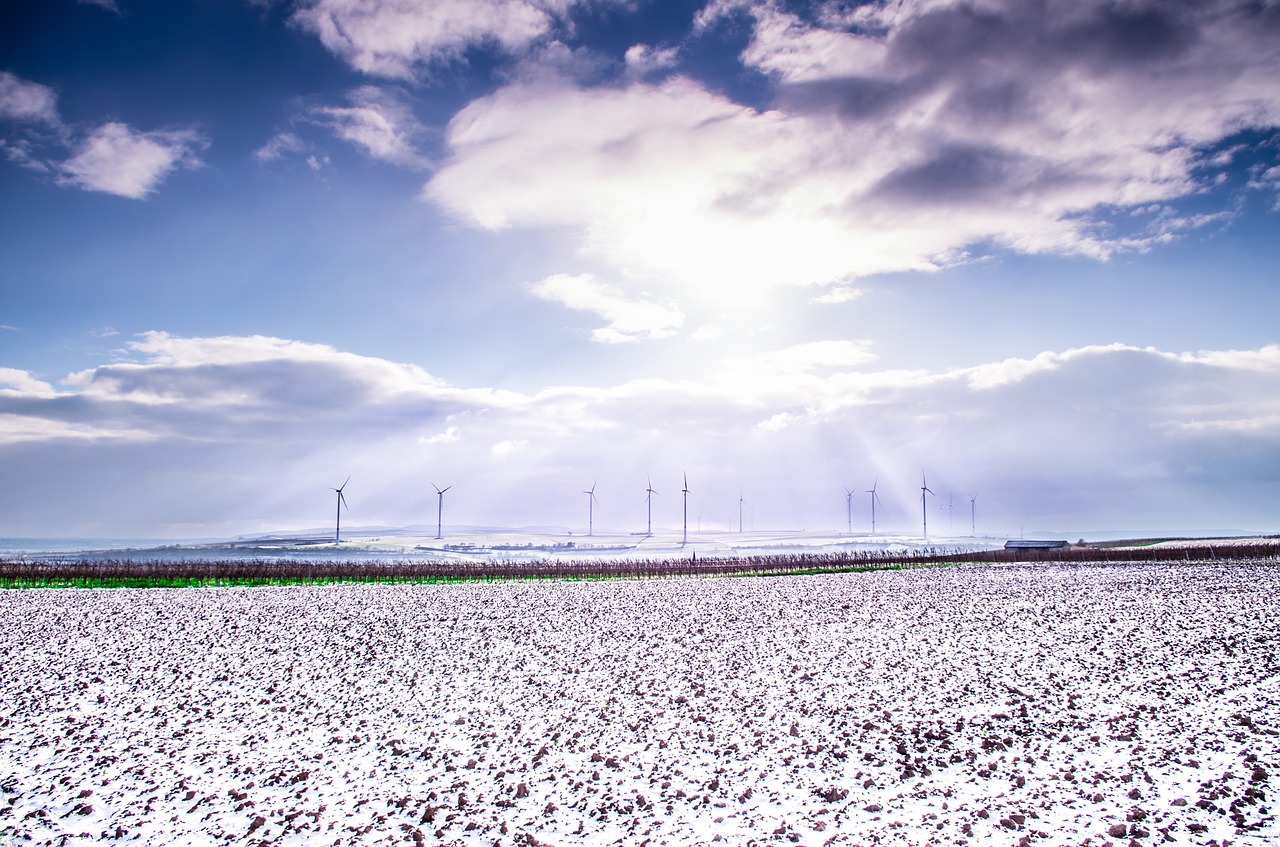 snow field winter free photo