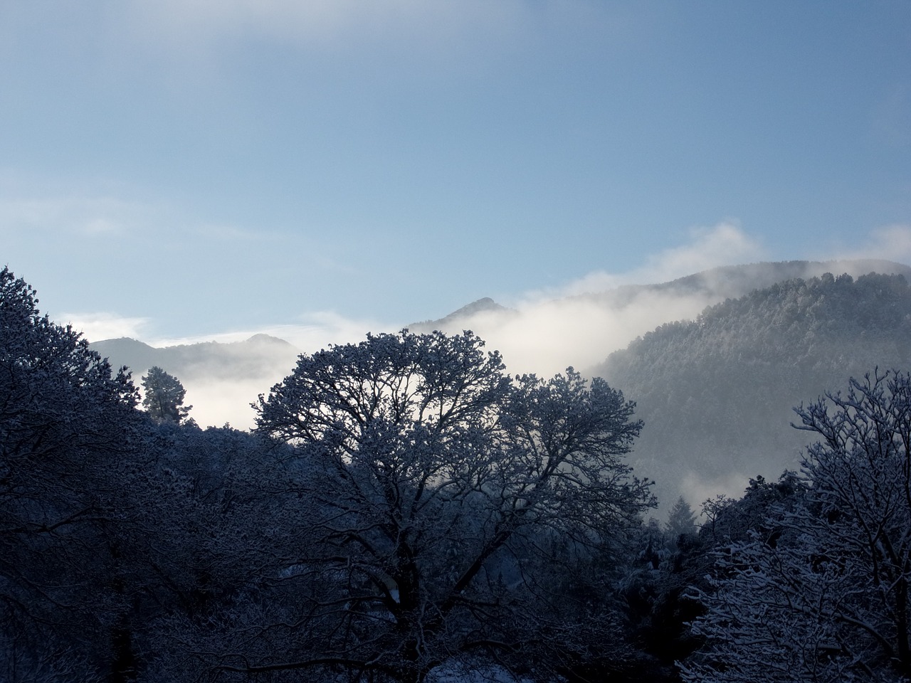 snow mountain winter free photo