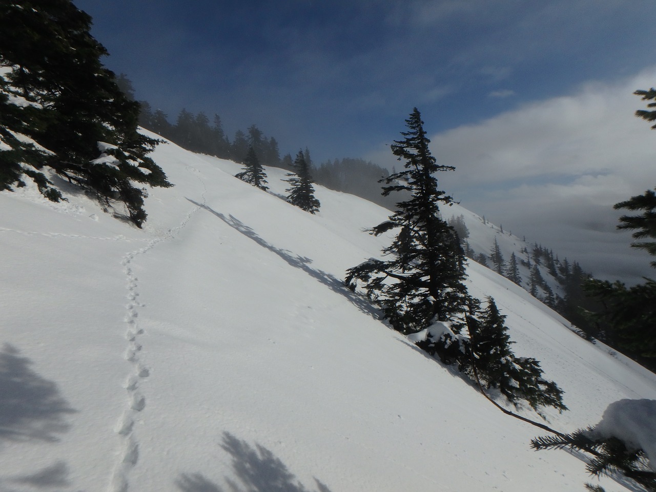 snow mountain winter free photo