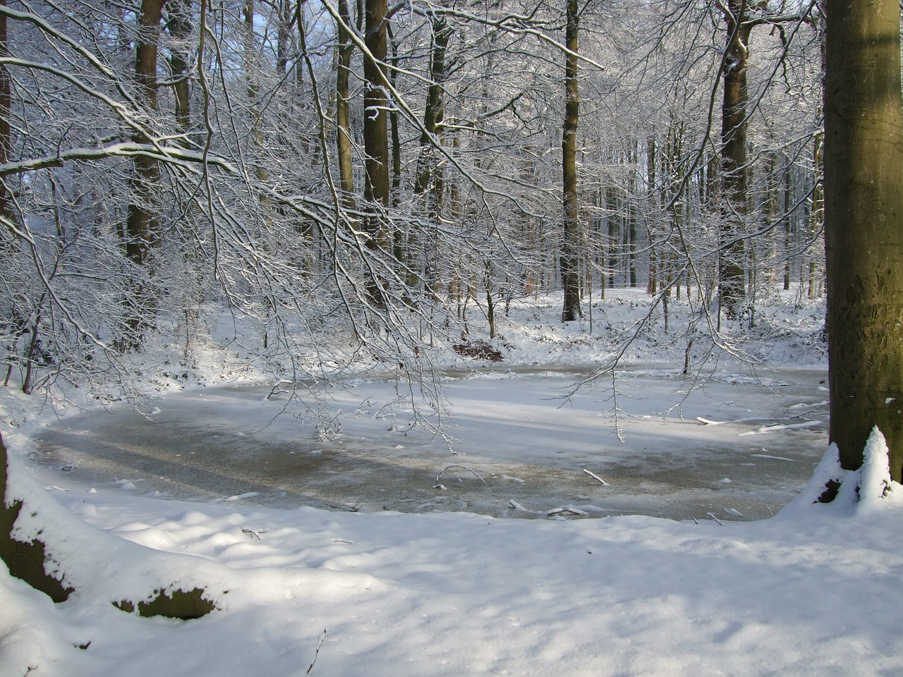 snow vechtdal dalfsen free photo