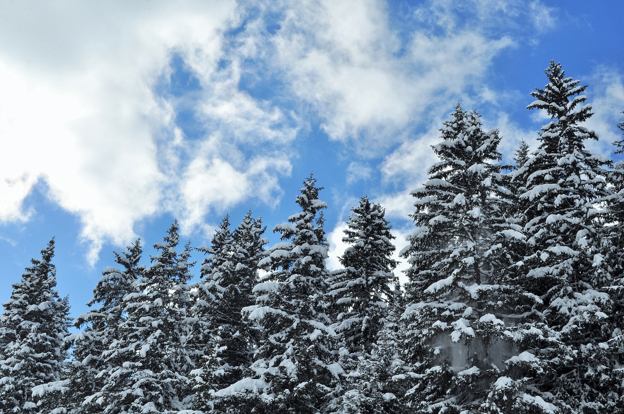 snow alps haute-savoie free photo