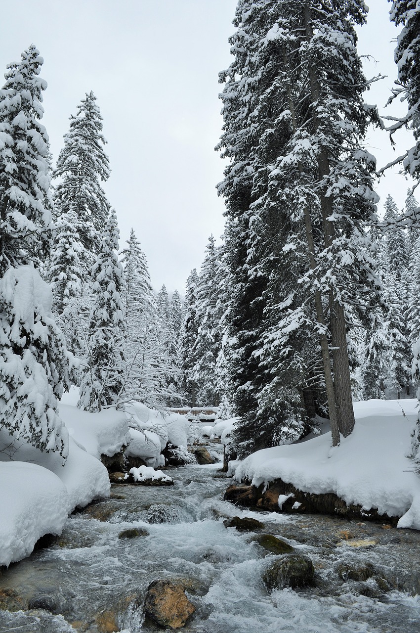 snow alps haute-savoie free photo