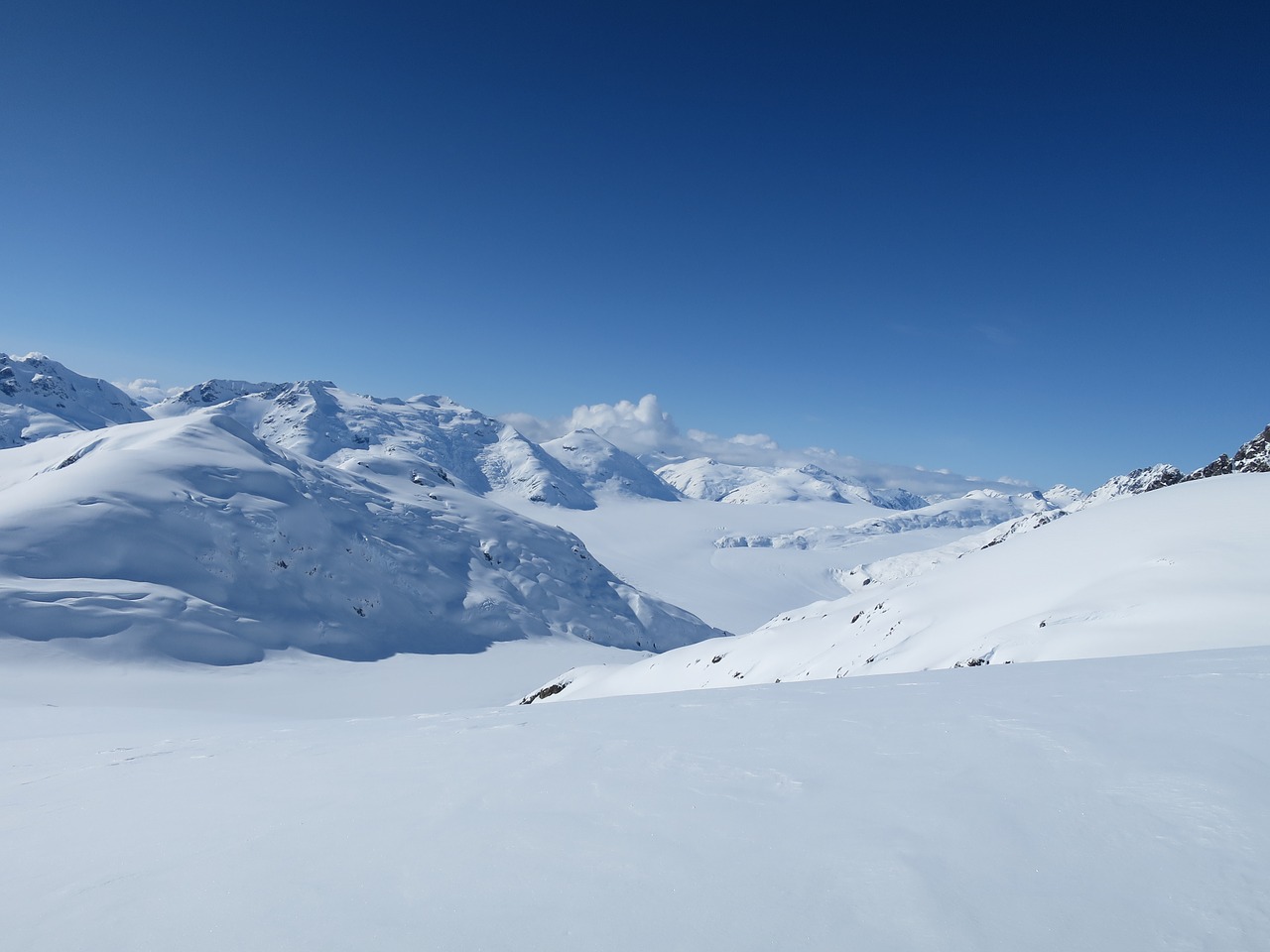 snow landscape winter free photo