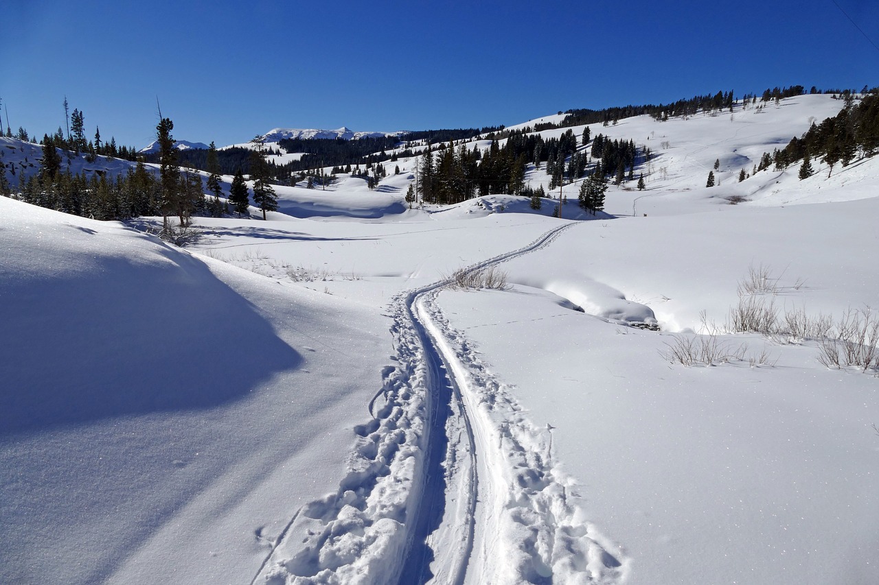 snow winter cross country skier tracks free photo
