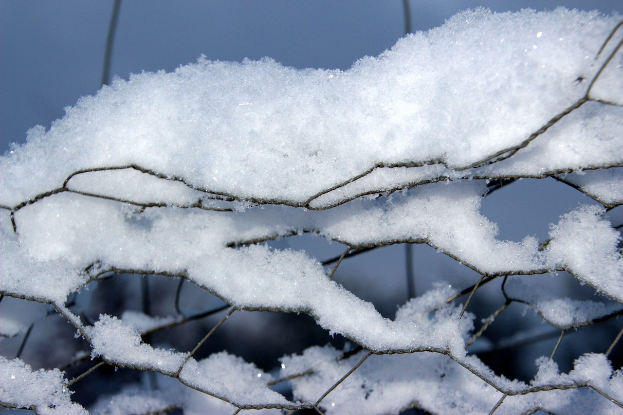 snow snow crystals winter free photo
