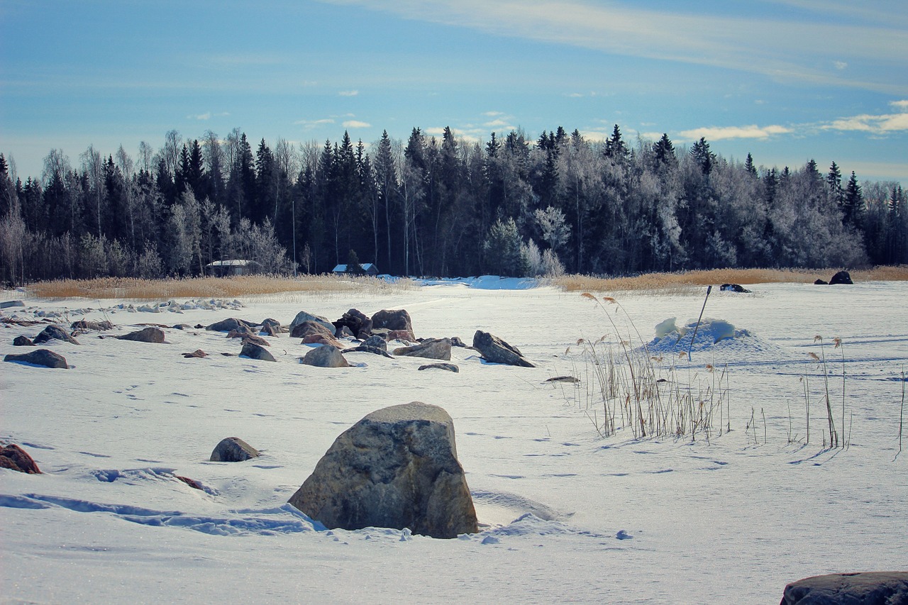 snow winter ice free photo