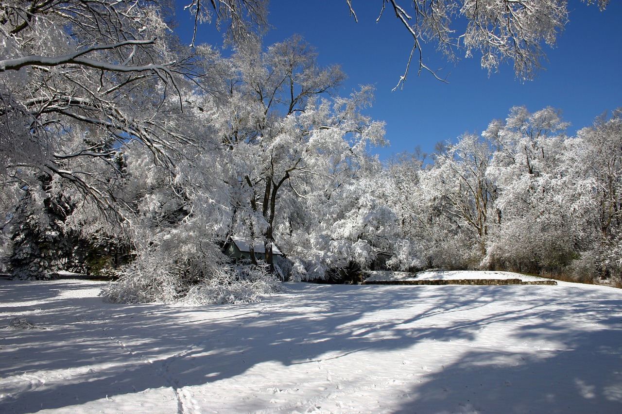 snow field spring free photo