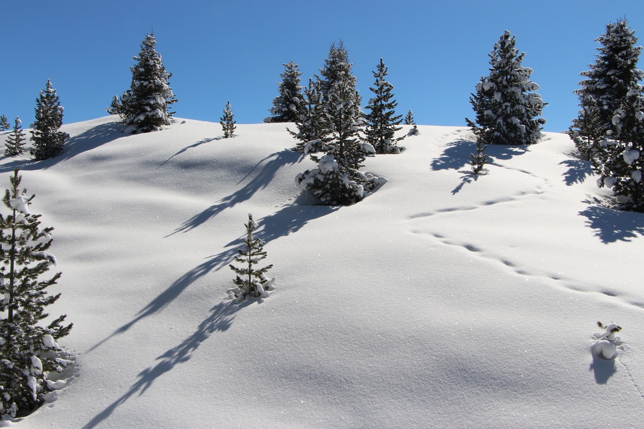 snow mountain alpine free photo