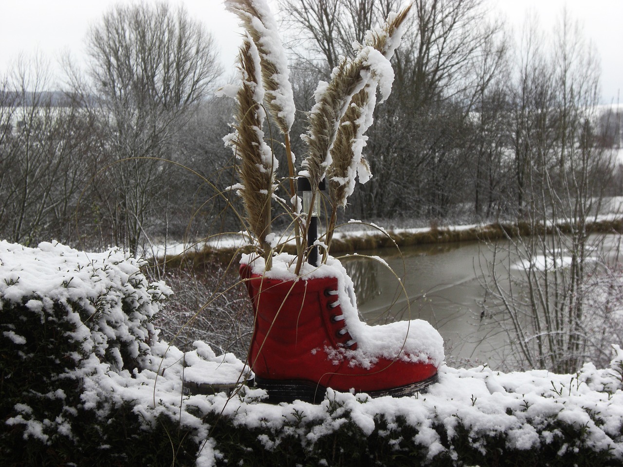 snow red shoe free photo