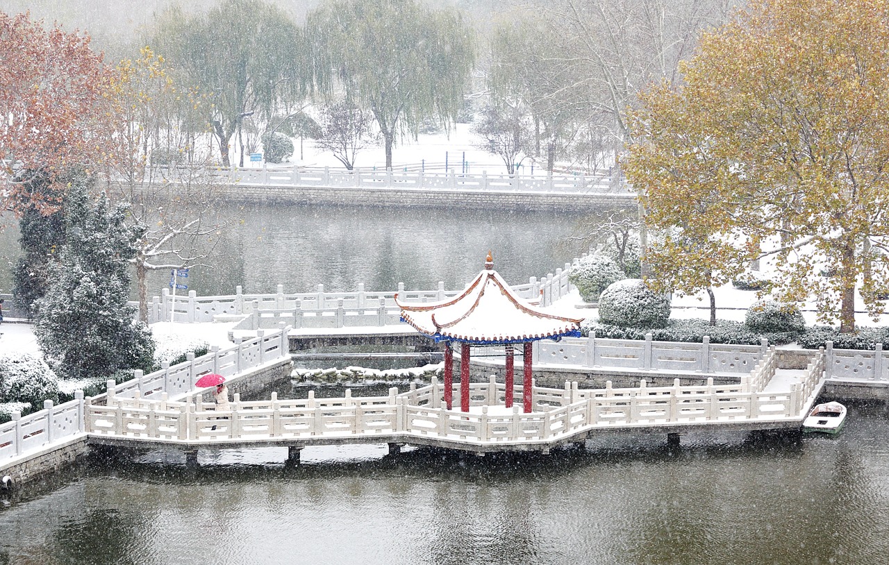 snow texas new lake free photo