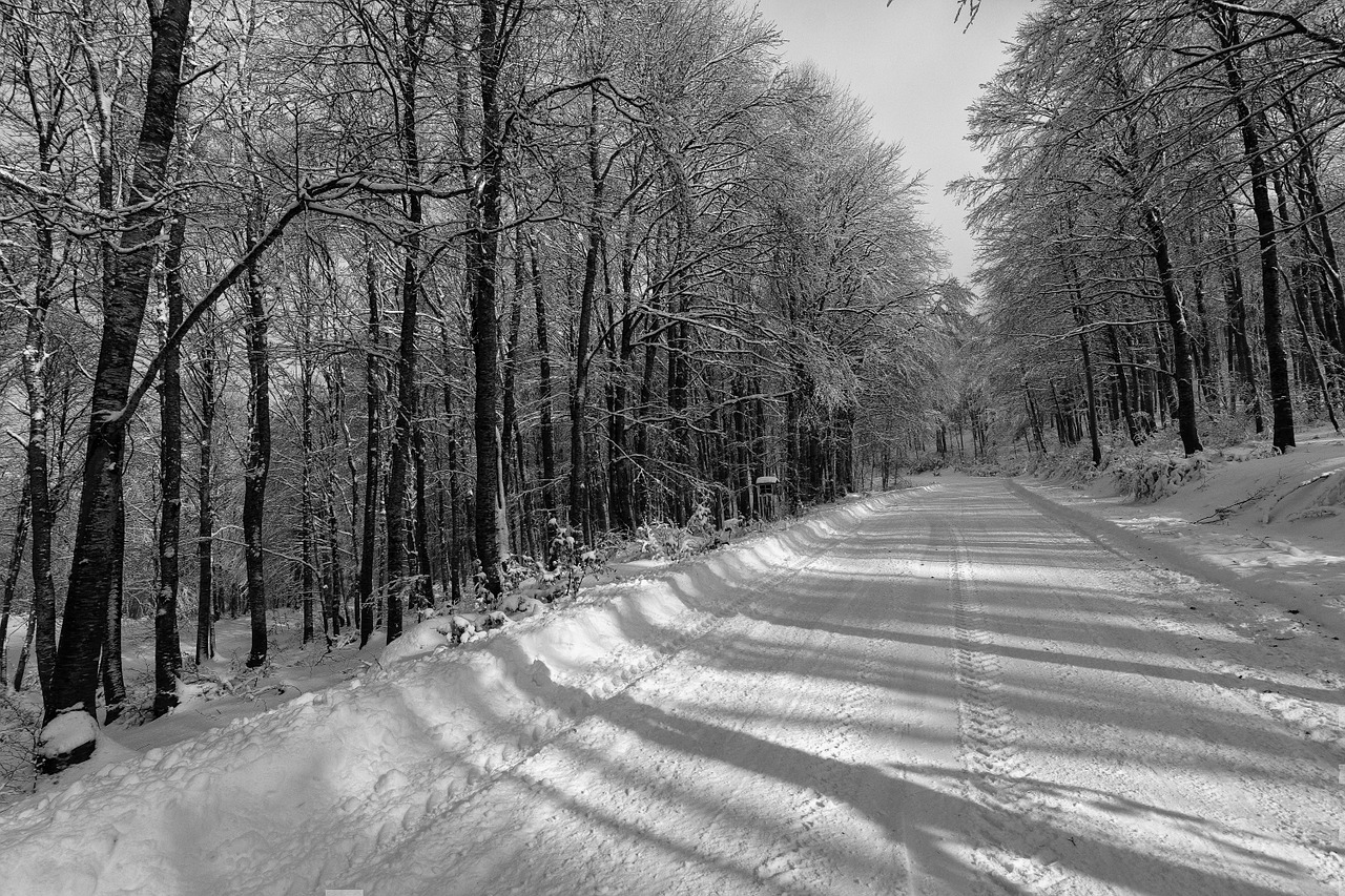 snow road vitsi free photo