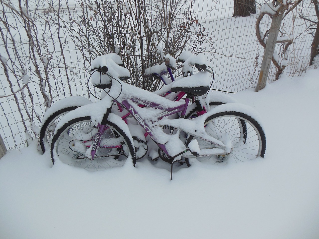 snow bike winter free photo