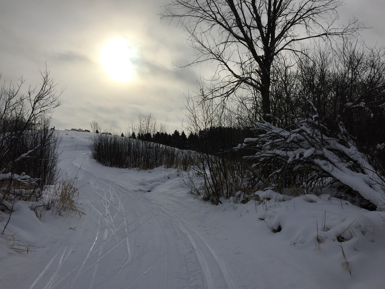 snow xc skiing cross-country ski free photo