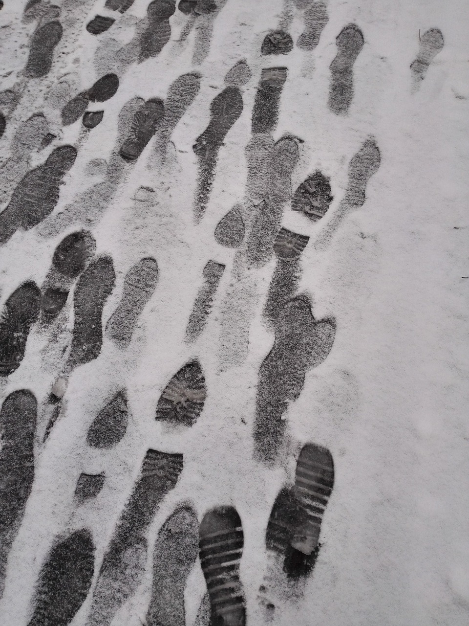 snow footprints black and white free photo