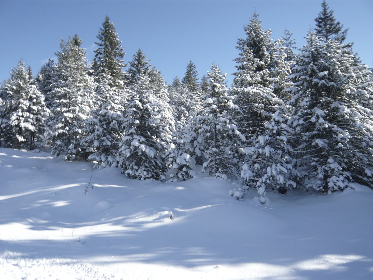 snow mountains wintry free photo