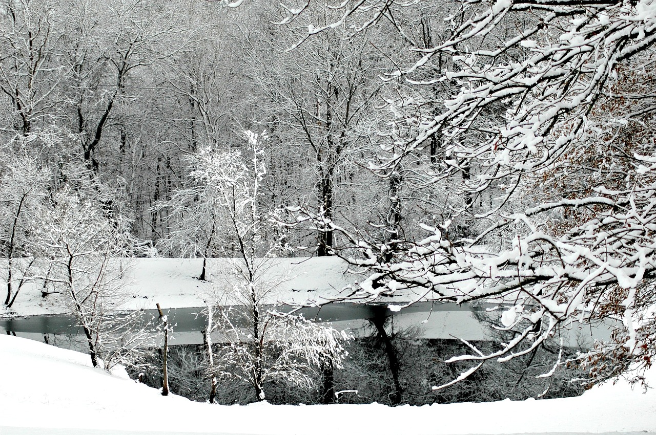 snow lake nature free photo