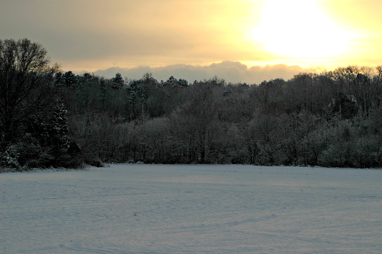 snow winter nature free photo