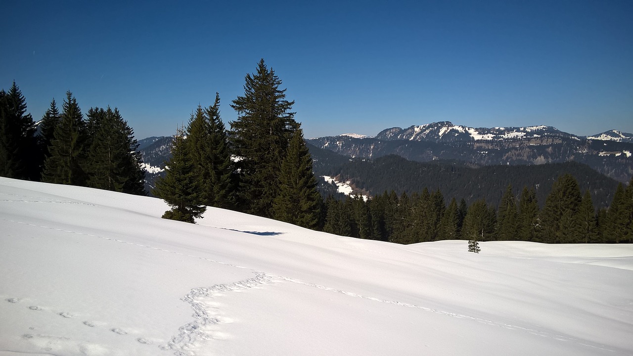 snow mountains trees free photo