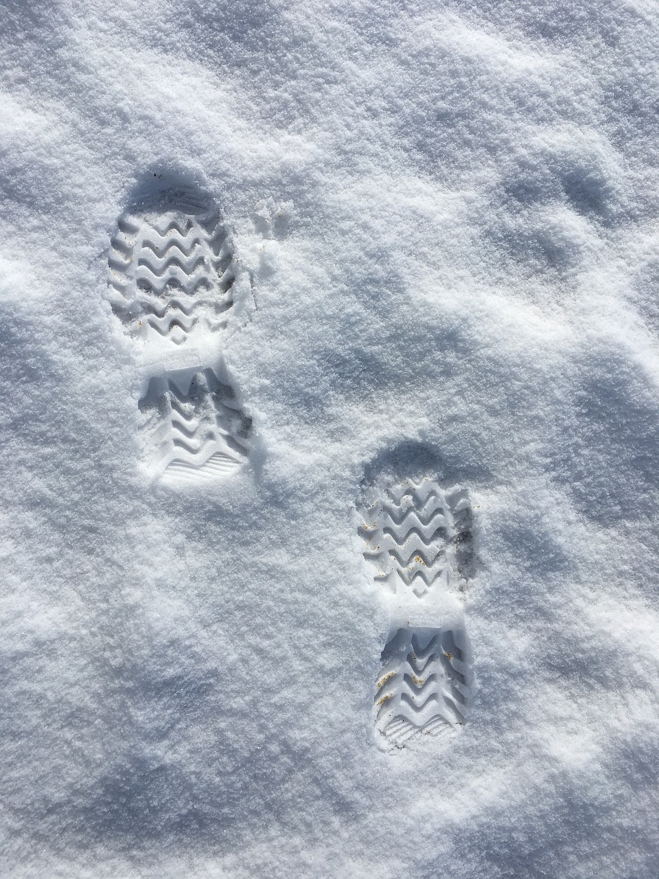 snow footprints winter free photo