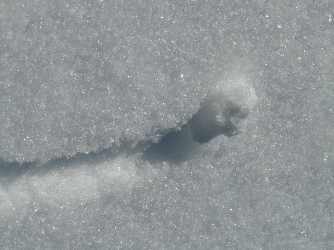 snow snow crystal ice crystal free photo