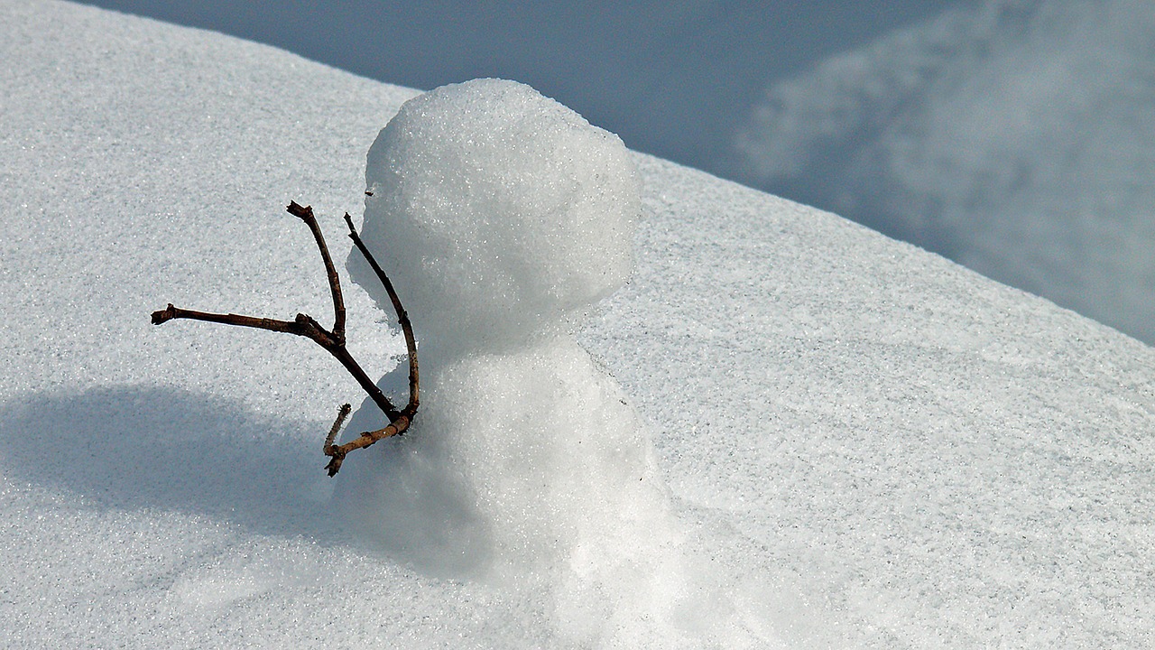 snow snowfall snowflake free photo