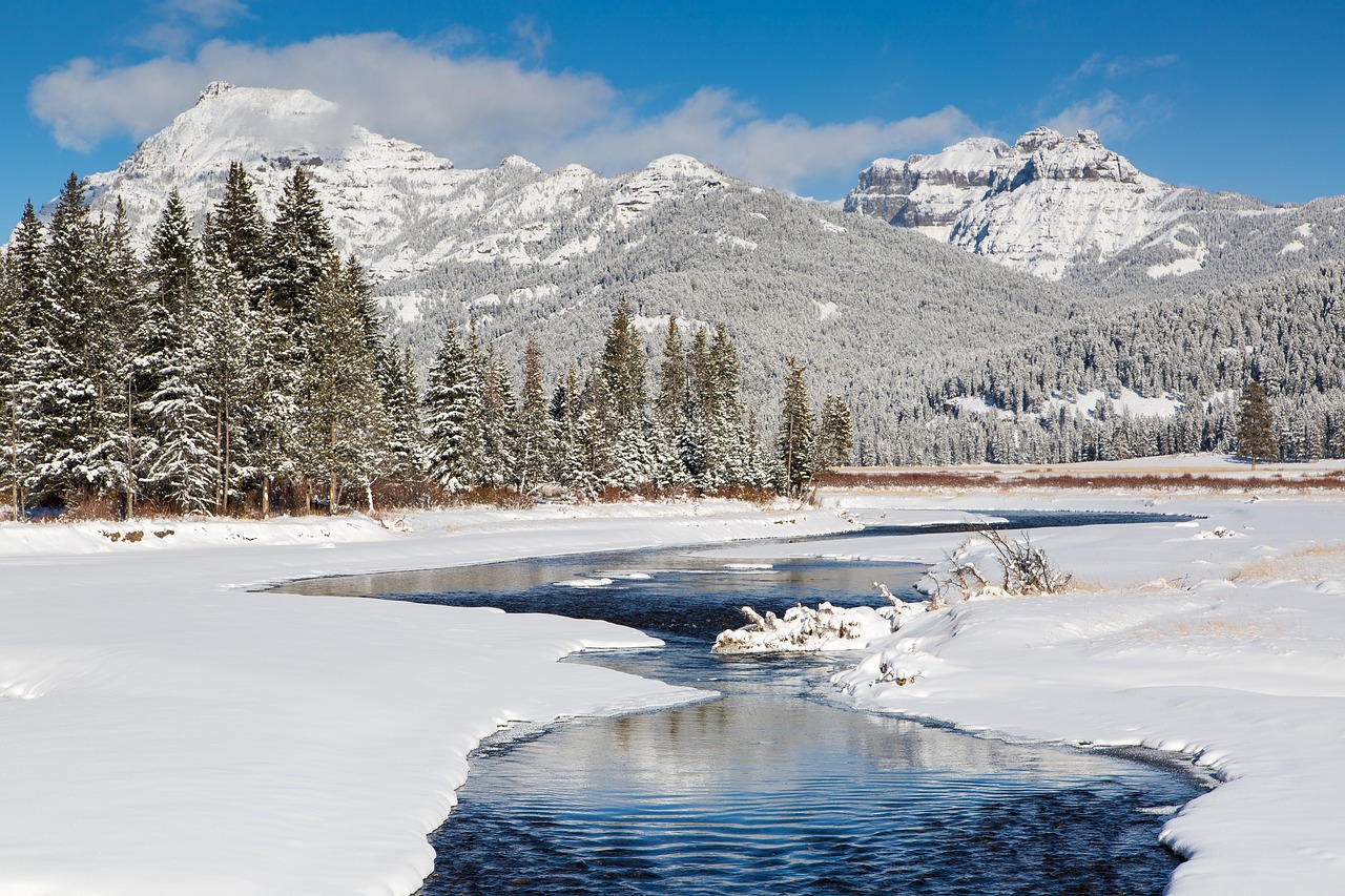 snow winter scenic free photo