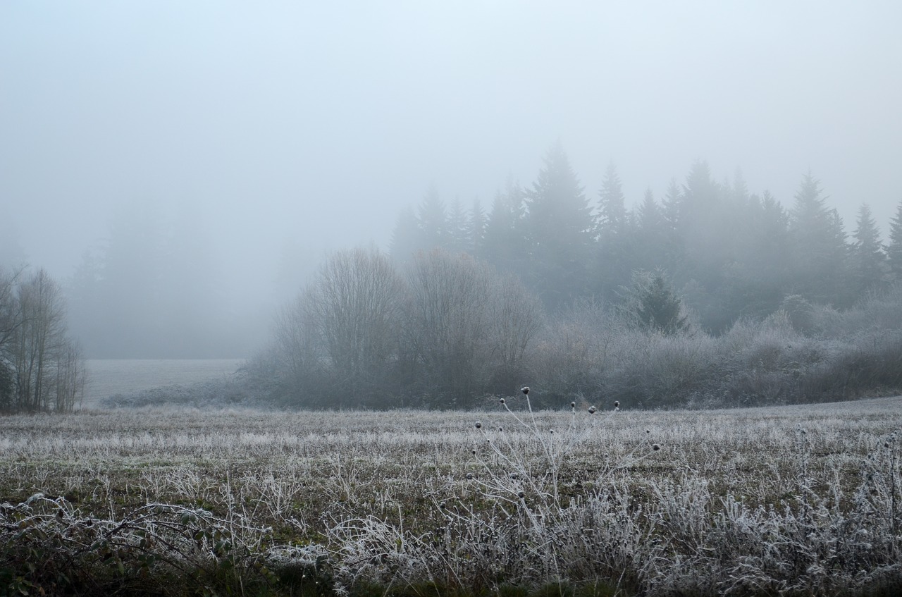 oregon snow frost free photo