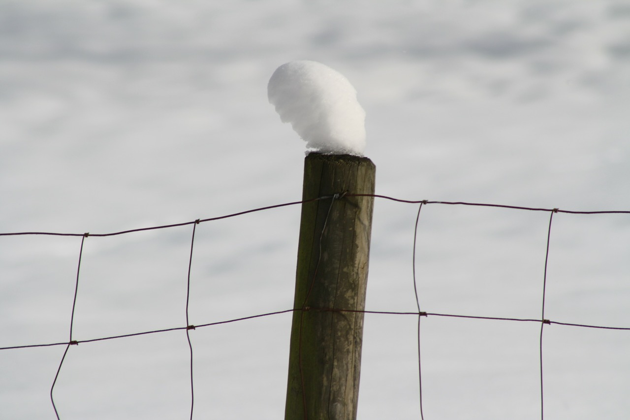 snow hat wire mesh fence free photo