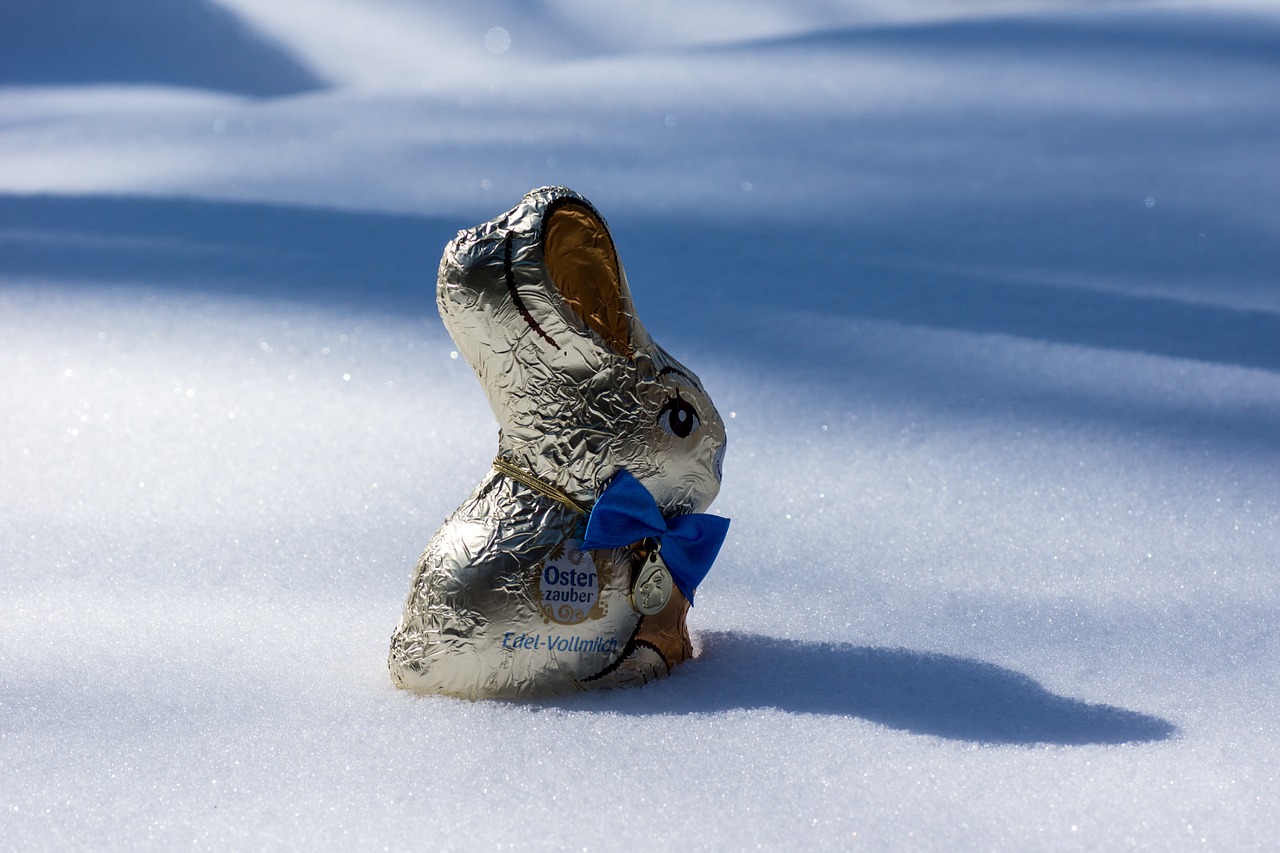 snow easter easter bunny free photo