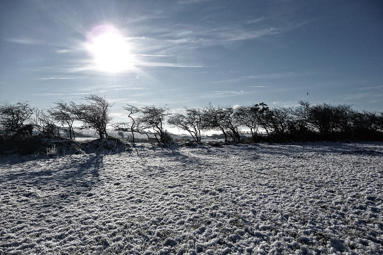 snow frost christmas free photo