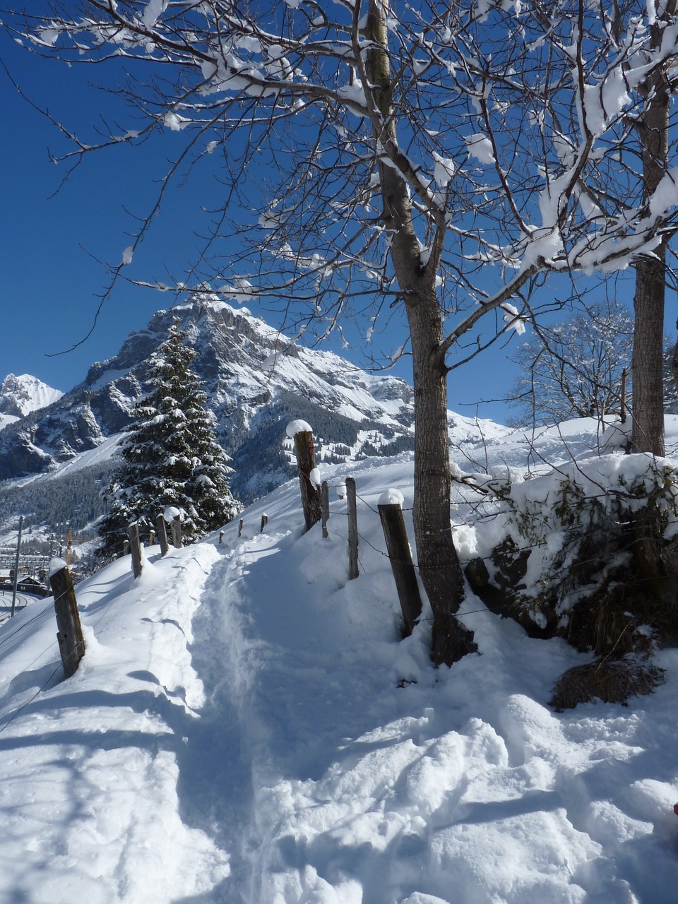 snow winter mountain free photo