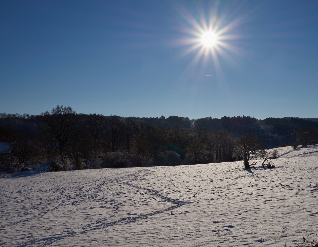 snow winter sun free photo