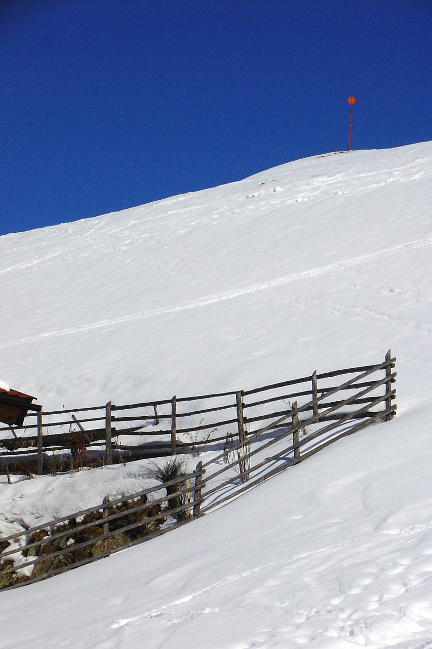 snow winter white free photo