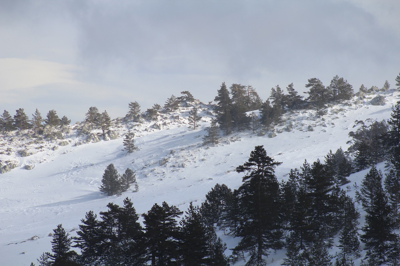 snow kartalkaya winter free photo