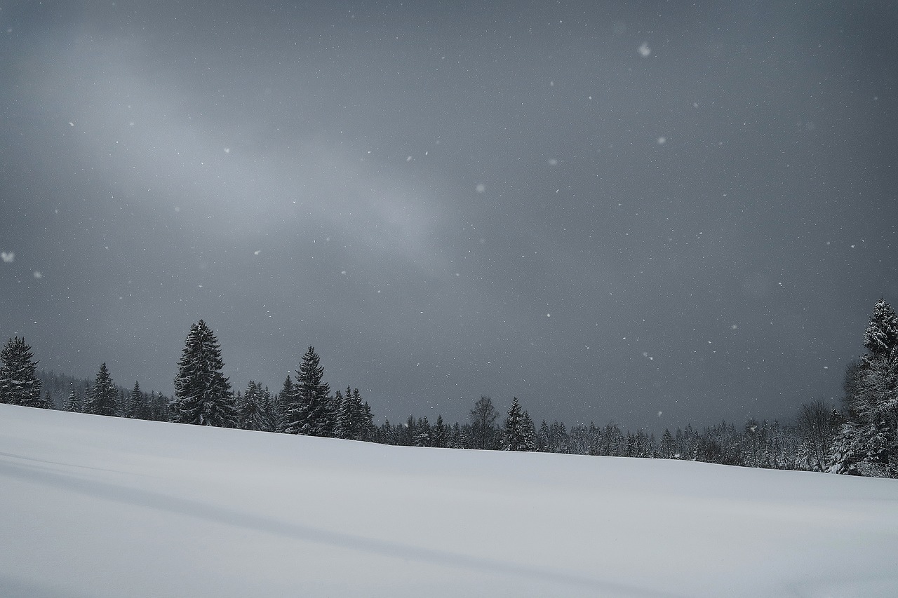 snow night sky free photo