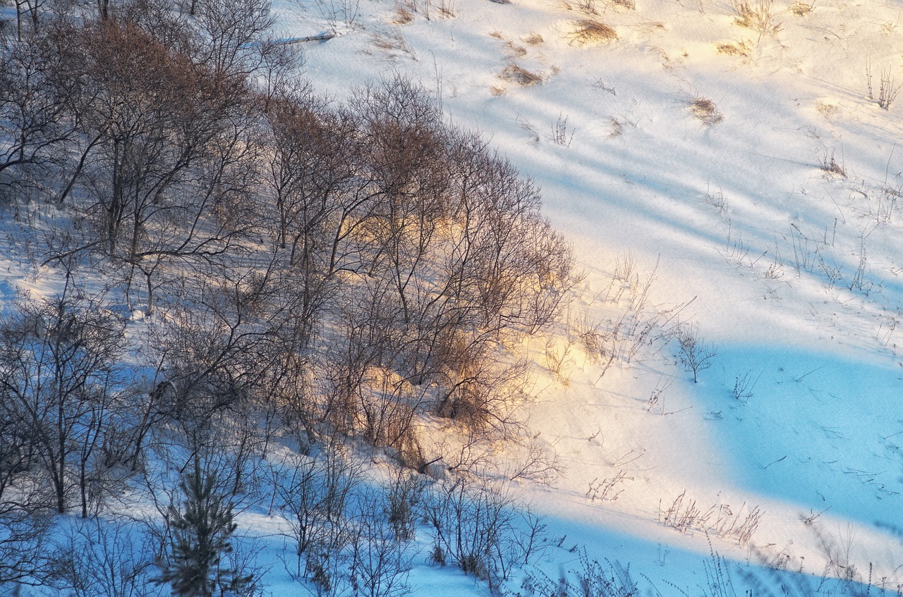 snow shadow evening free photo