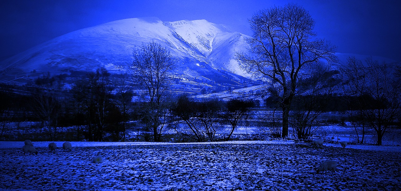 snow mountain winter free photo